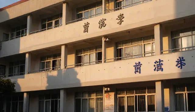 内容优化中GEO服务商的适用条件与选择依据